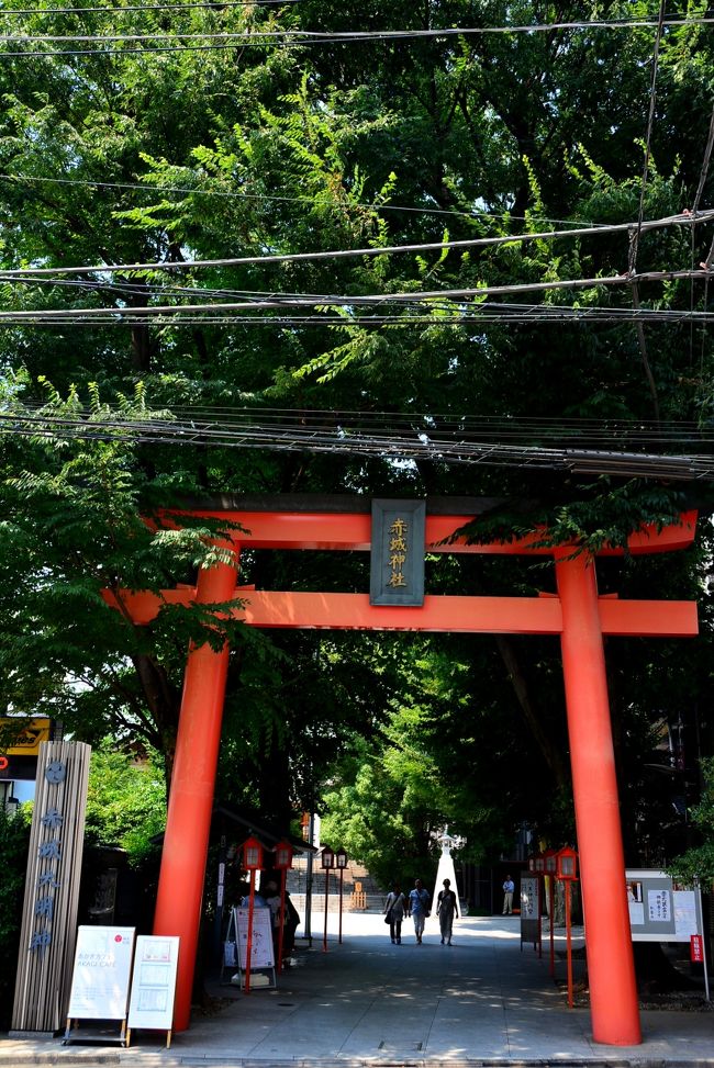 Pin di おかしい ⛩️