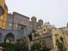 翌日はシントラとロカ岬へ。

シントラはリスボンから近く電車でも十分訪れることができるのですが、弾丸旅で時間に限りがあるので今回はVeltraのプライベートツアーを利用しました。

目指すはペーナ宮殿。
ペーナ宮殿へ向かう道は山道でくねくねしているので酔いました。

ペーナ宮殿のチケット売り場から宮殿の入口まではさらに500ｍぐらい坂道を登っていく必要があります。
チケット売り場と宮殿間を行き来するバスが往復３€で利用できるので体力を温存したい人はどうぞ。私は利用しました。

ペーナ宮殿は色とりどりでおもちゃのお城みたい。