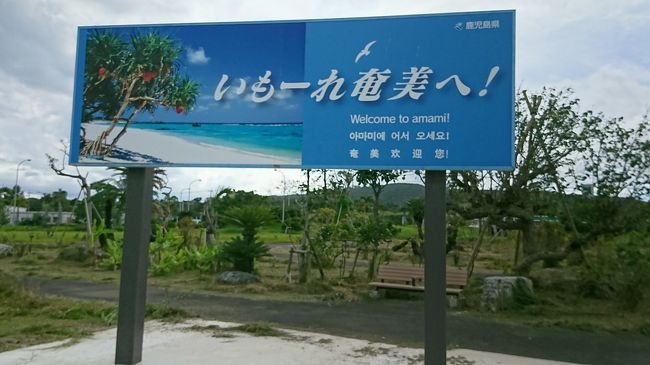 奄美空港到着！飛行機降りて、歩いて空港内へ。屋久島空港より少し大きめで、今は拡張工事中です。<br />今日泊まるネイティブシー奄美さんがお迎えにきていたので、ホテルの送迎車でホテルへ向かいます。<br />今回レンタカーを借りるか迷いました。2～3年運転してないのでペーパードライバー。近所の自動車学校のペーパードライバーコースに通ってレンタカー借りようか、路線バスを利用しようか……迷ったあげく、初奄美大島なので、道の幅も分からないし、とりあえず路線バス利用して、奄美大島気に入ったら次回レンタカー借りることにしました。