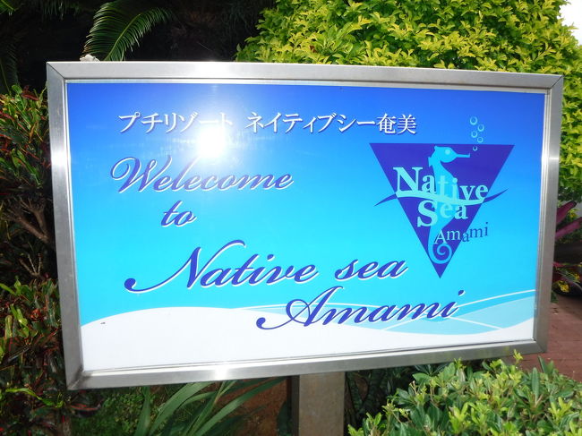 ネイティブシー奄美本館に到着。私は別館のアダンなので、本館の方が降りたあと、アダンまで送ってもらいます。