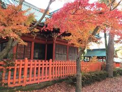ホテルに行くまでの間には、尾山神社、尾崎神社や金沢城公園があり、風情ある街並み、空気がとても澄んでいました。
尾崎神社はかつては金沢城敷地内にあった徳川家康を祀った神社、金沢の東照宮と言われているそうです。
紅葉が見頃でした。