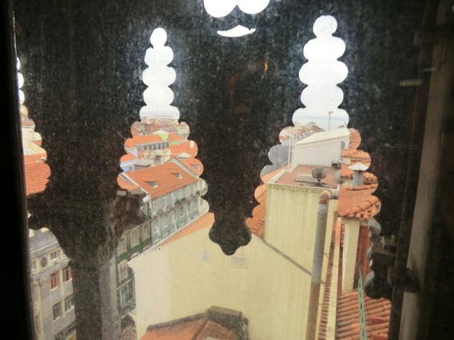 ぐいぐい登っていきます。