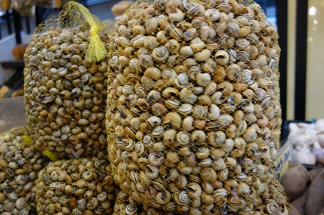 かたつむり！いっぱい！