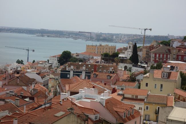 この景色を独り占め。