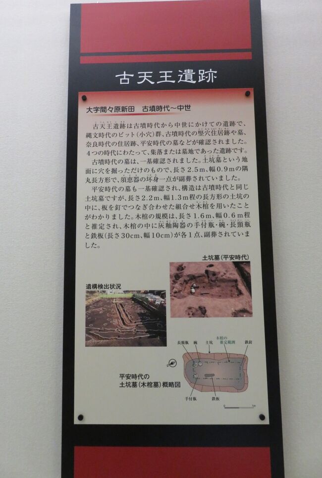 生命の世紀(小牧久時 著) / 光国家書店 / 古本、中古本、古書籍