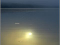 【朝靄のアマゾン】

この下に「ピラニア」さんがいない事を祈りながら....