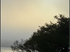 【朝靄のアマゾン】

この静寂のアマゾン....さ....最高......ぷるぷるぷる......