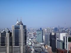 東京・新宿『パークハイアット東京』の外観の写真。

『東京オペラシティ』の53階から撮影。
2015年11月19日、高級肉料理店【松阪牛 よし田】がオープンしました。

https://r.gnavi.co.jp/sd5vzwd00000/

東京スカイツリーも見えます。