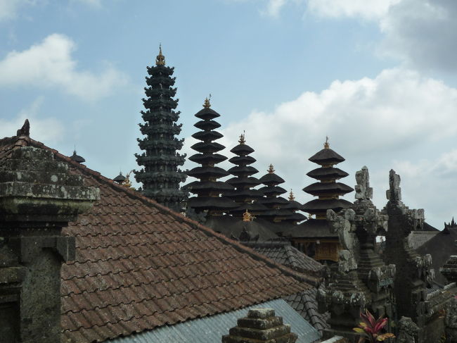 屋根はヤシの毛で出来てます。