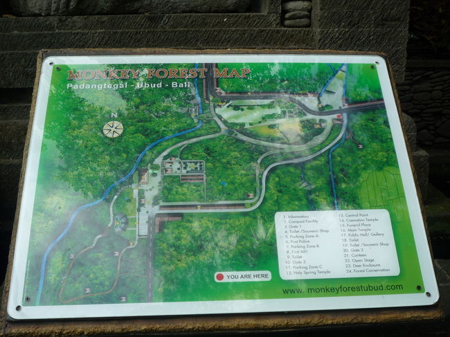 モンキーフォレスト<br />