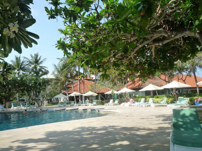 その間にプールサイドを探索<br />