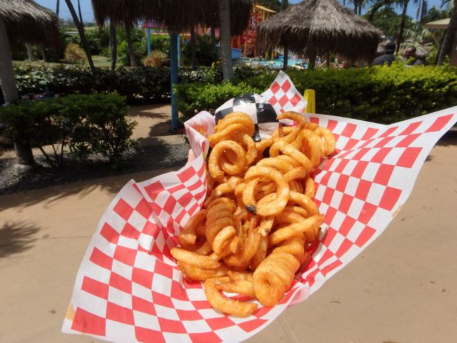 ポテトフライの奥にあるサッカーボールみたいな包みはハンバーガーです