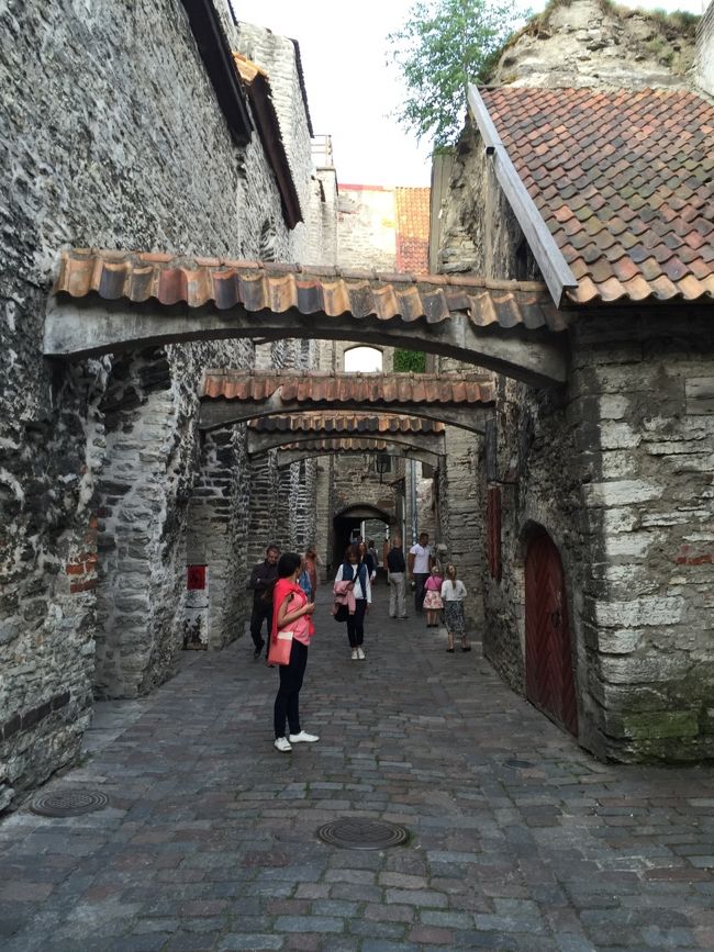 こういう小道があるのが楽しい。