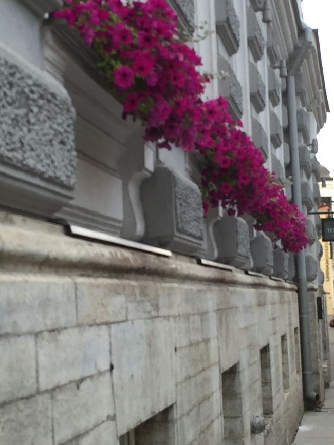 メインストリート沿いの建物は花が飾られていました。