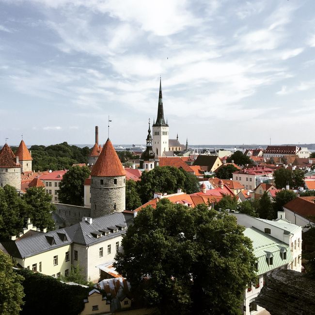 タリン旧市街が見渡せる丘で。