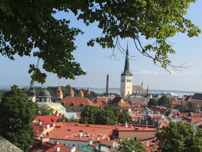 朝夕と何回も来ました。<br />時間によって雰囲気も変わります。