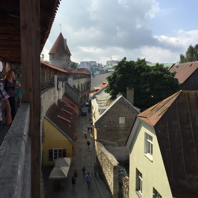 城壁にも登れます。<br />入場料がかかりました。