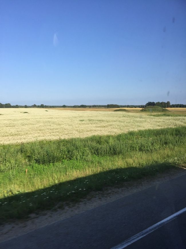 タリンからリガまではほぼこんな風景。