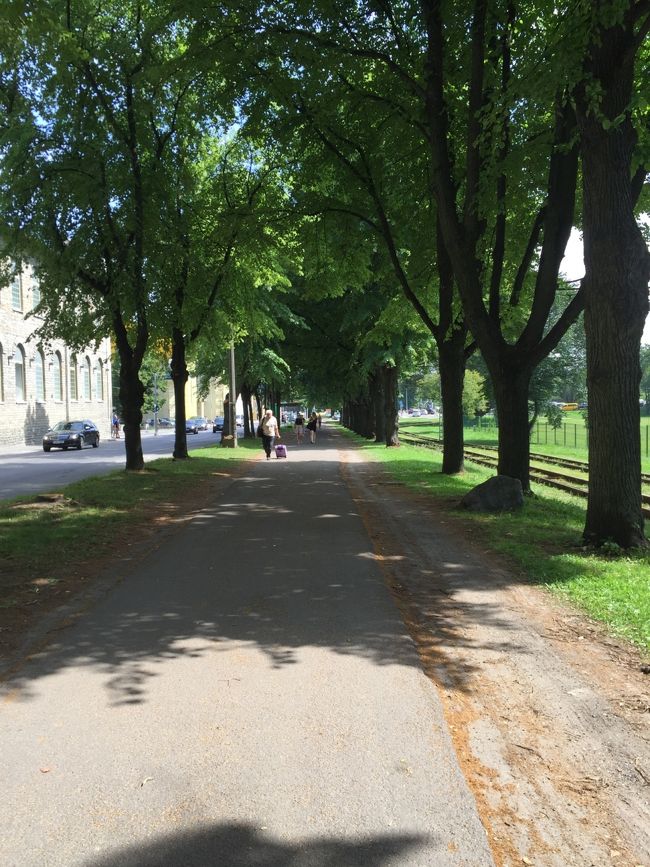 城壁の外はトラムが走っています。<br />ほぼ見かけることはなかった。