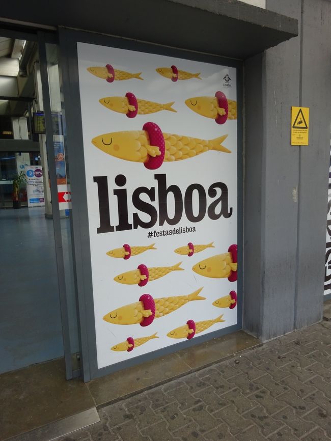 浮き袋つけてるお魚に萌えた（〓＾ー＾〓）