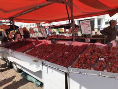 マーケット広場です。いちごが美味しそうです。
でもカモメだらけで恐いです。
お土産屋さんでマグネット、ポストカードなど購入し、退散。