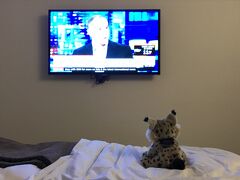 最終日の朝です。
早く目が覚めてしまったので、部屋でぬいぐるみと一緒にテレビタイムです。