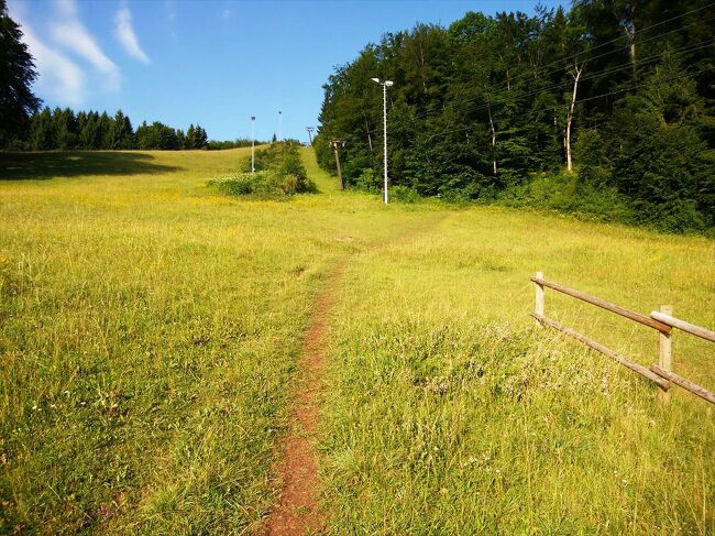 8:20<br />冬はスキー場になる山へ入る道がありました。