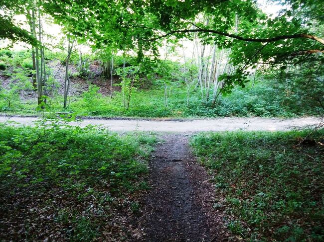 8:30<br />三叉路に出ました。