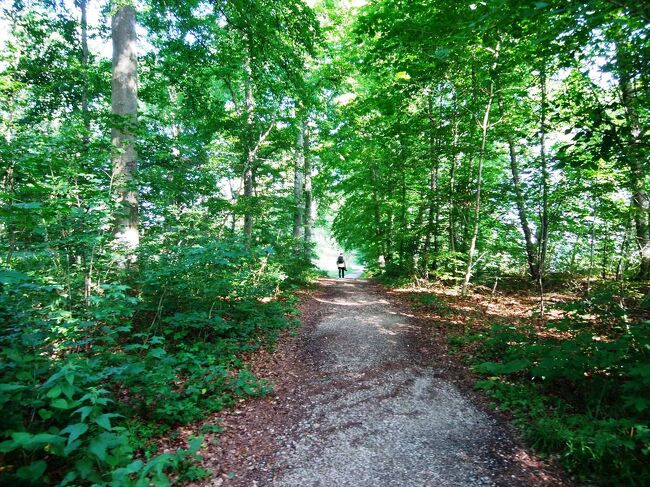 8:54<br />最後の登りです。