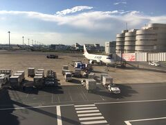 今回は、連休前夜の平日に現地入りするため、空路を選択しました。東京羽田空港から山形空港まで1時間のフライト。山形空港から蔵王温泉まで 事前予約の観光ライナー（タクシー）で約1時間。使用機は意外にも小さかったです。