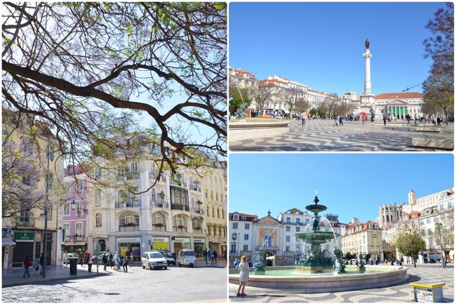 ロシオ広場。<br />薄いラベンダー色のお花が咲いている樹がたくさんあって、それがとてもきれいだった。<br />名前を調べてみたけど分からないまま・・・。