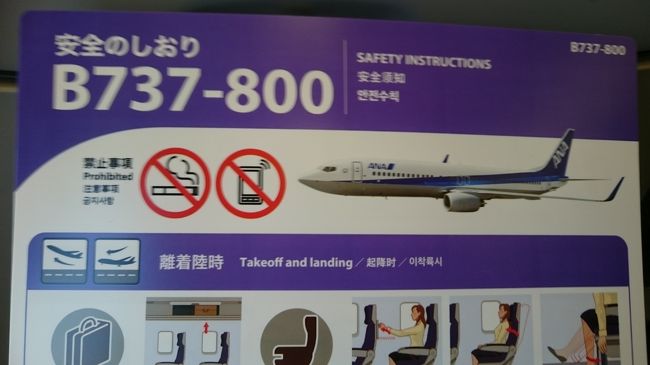 本日の飛行機は７３７君です。