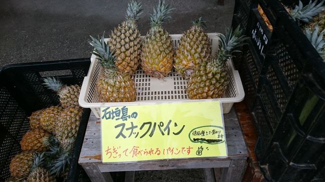 まずは、川平湾に向かいます。<br />石垣お約束のスナックパインが販売されています。<br />