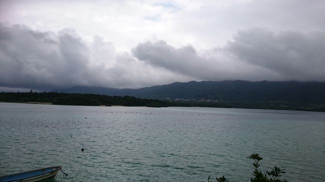 左を見ても<br />やっぱりドンヨリですね・・・