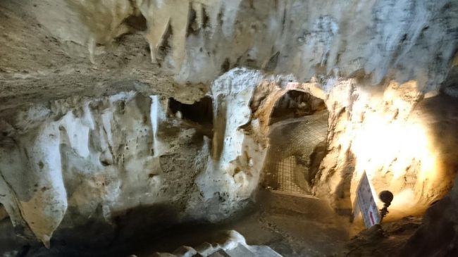 でも、どちらかと言うと前回行った鍾乳洞より、こちらの洞窟のほうが石垣では有名らしく、、、