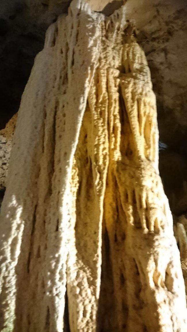 乾いてません・・・