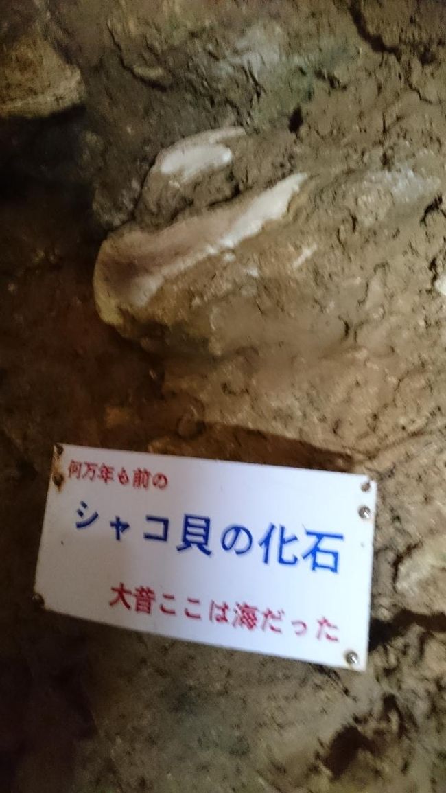 「大昔ここは海だった」って、アバウトな説明～<br />