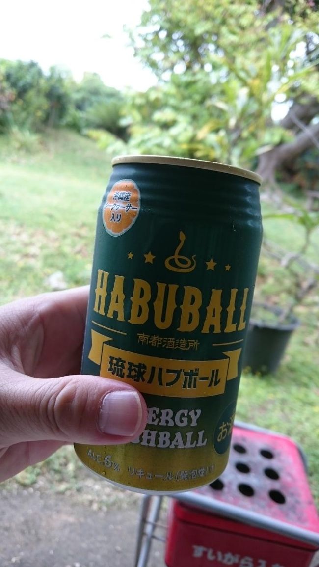 琉球ハブボールです！