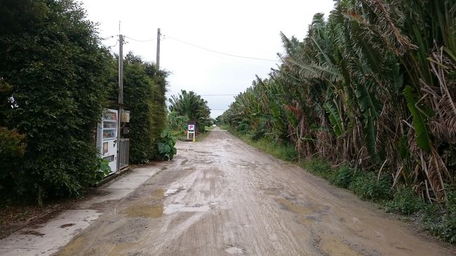 昼食タイムです！<br />舗装されていない道を・・・