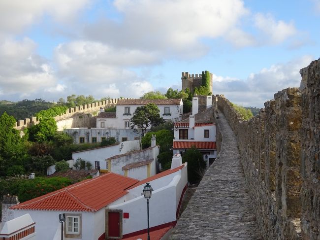 手すりは一切なしw<br /><br />怖くて、屁っ放り腰で、<br />壁にロッククライミングする人がごとく<br />へばりつきながら歩いたのは、私です。。。<br /><br />狭いところだけですよ、そんなことしたのは。。。