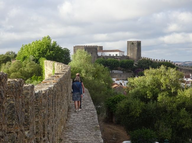 一番怖いのは、子供とすれ違う時<br /><br />この道幅なのにぴょんぴょん跳ねるように歩いていて…<br />こんな注意の足りない子供とすれ違うに当たって<br />私が外側通るなんて絶対嫌なわけで…<br />だって子供の不注意のために足を踏み外したって誰も責任を取ってくれないしね。<br />だからと言って、子供に外側を通らせるっていうのは、なんだか申し訳ないというか、批判的な視線も感じるのでね…<br /><br />遠くに子供の姿が見えた時点で、即止まり<br />城壁の外の写真を撮り始め（それこそ１m位おきに隙間がある）<br />壁にへばりついて<br />それこそ足の幅分をも惜しむかのように<br />人を通るために最大限の幅を後ろに作るべく努め<br />絶対動きませんとアピールし<br />「すれ違うに当たって子供がここまで注意深くしてくれるなら私が外側でもいいんだけどそうじゃないでしょ…だから…悪いわね」と暗に伝える（〓´ω｀〓）