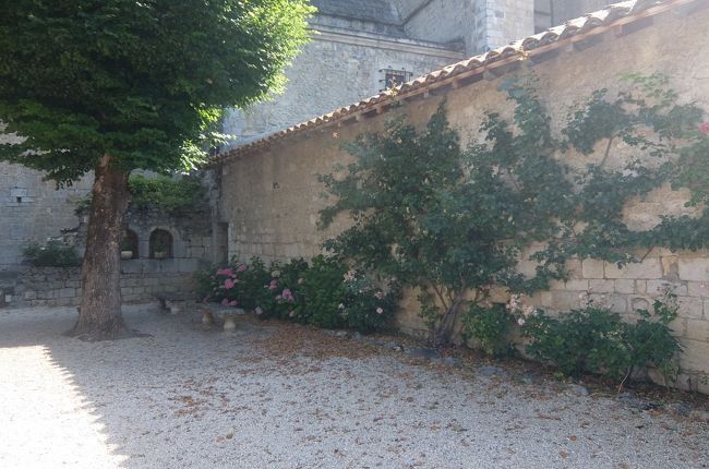 よく手入れされている通路を通って・・