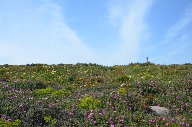 この日の観光はロカ岬だけ。<br />リスボンからシントラに入り世界遺産を見学してバスでロカ岬・・・というルートが王道なのかもしれないけれど、宮殿などで並ぶのもイヤだしぃ、坂道を歩き回るのも疲れそう・・・。何より、のんびりしたいよねぇ。<br />って、珍しく夫婦で意見が合いました(笑)<br /><br />たぶん、ロカ岬に2時間以上も時間を費やす日本人ツーリストはそういないのではないかな？<br />団体ツアーは、バスでやってきて、パ～っと写真を撮って30分足らずで去って行く。<br /><br />でも、私たちの旅はいつもこんな感じでゆるりと。<br />旅先で疲れてしまうほどハードに行動するのは30代前半くらいで卒業(笑)<br /><br />目の前に広がる大西洋の景色をのんびりと楽しみました！<br />