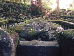 子種岩がある滝尾神社へ。
お参りして、パワーをいただきました。