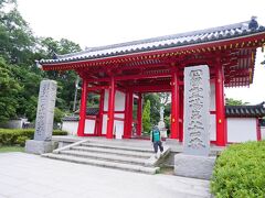 さて、2日目の朝は、駅前でレンタカーを借りて、屋島にドライブです。
屋島寺はタヌキを祀っている珍しいお寺。
お土産物やさんのとおりには、実際にタヌキがいました！
