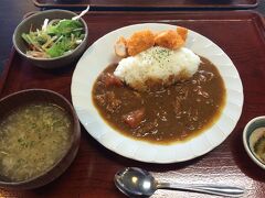 本日の目的を達成したところで時刻は13時過ぎ･･･
計画では宮古牛を食べる予定だったんだけど調べてみると近隣のランチはみんな14時までみたい。
ウミガメに夢中になっているうちにくいっぱぐれたっぽい。

DOUG'S BURGERへツナバーガーを食べに行ってみるが、めちゃくちゃ並んでるし、けっこうなお値段のため断念（ケチ）
ほかにも行ってみるけど本日休業だったりで、結局たどりついたのは「島の駅みやこ」
宮古島カレー（チキンカレー）をいただきました。
けっこう豪華セットだったし、おいしかったので満足。