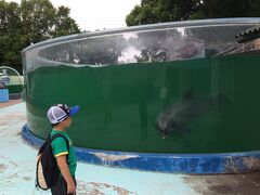 新屋島水族館に立ち寄りました。