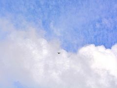 【川下り....いよいよ、アマゾン河に向かふ....】

見上げると.....ドローン......




......つづく.......