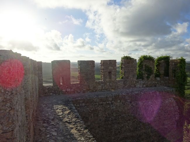 今私が使っているカメラは<br />逆光だと、しばしば、ピンクのお花が咲くんだ（〓＾ー＾〓）
