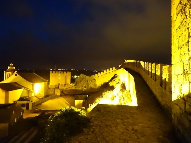 手すりないからここまでにしようかな、、、<br /><br />でも、すぐそこに降りる階段があるから<br />あそこまで、、、<br /><br />昼間歩いてわかってるから、、、